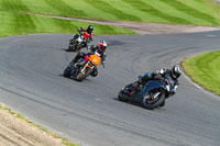 Advanced Group Silver_Grey Bikes